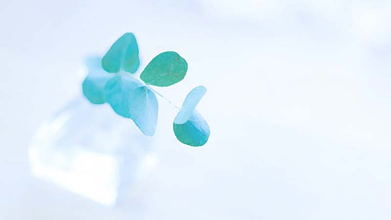 シンプルライフイメージ