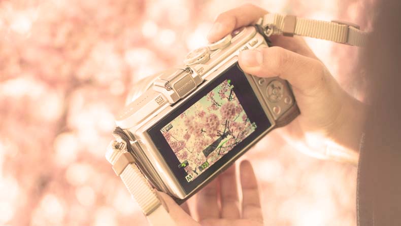 デジカメ再流行イメージ1